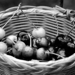 image (c) cathyducky