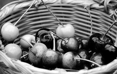 image (c) cathyducky