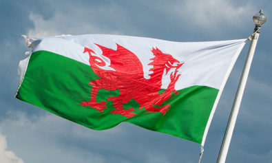 image by Matthew Wilkinson